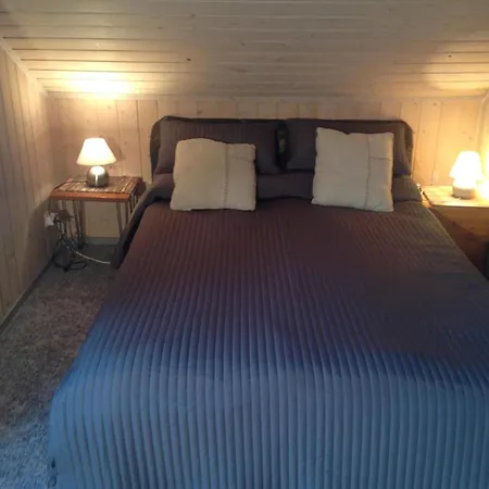 Wildgans 177 * ميرو