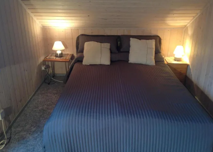 Wildgans 177 * מירו